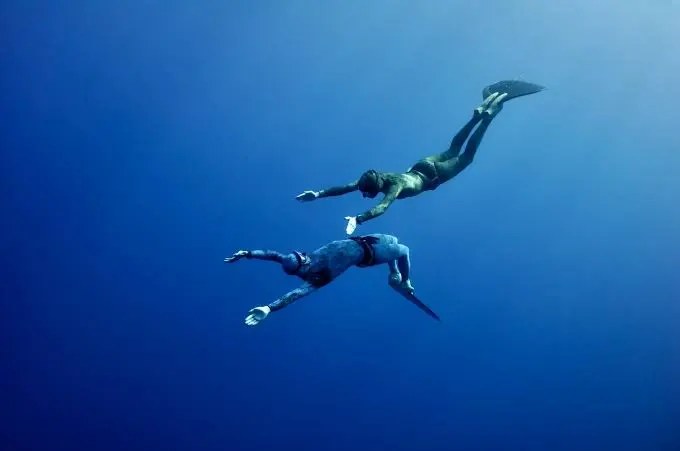 Два фридайвера в глубине Красного моря