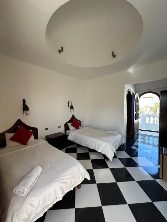 Бассейн El Salam Hotel, Дахаб